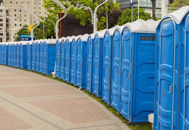 a line of brightly-colored portable restrooms, perfect for outdoor festivals and concerts in Bloomfield, NJ